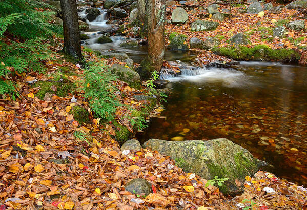 Landscapes Poster featuring the photograph Waterfall in Shelburne by Nancy De Flon