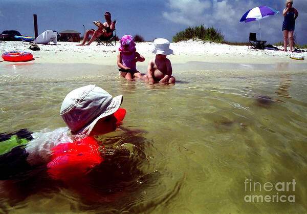 Pensacola Poster featuring the photograph Water Wings by Tom Brickhouse