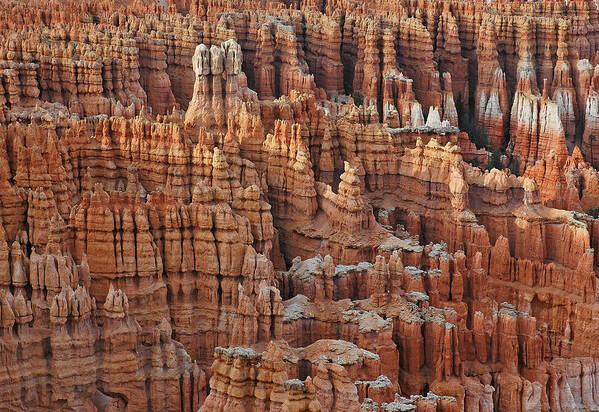 Bryce Canyon Poster featuring the photograph Waving Spires in Bryce Canyon National Park by Bruce Gourley