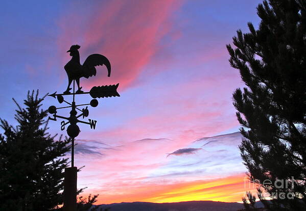 Rooster Poster featuring the photograph Weather Vane Sunset by Phyllis Kaltenbach
