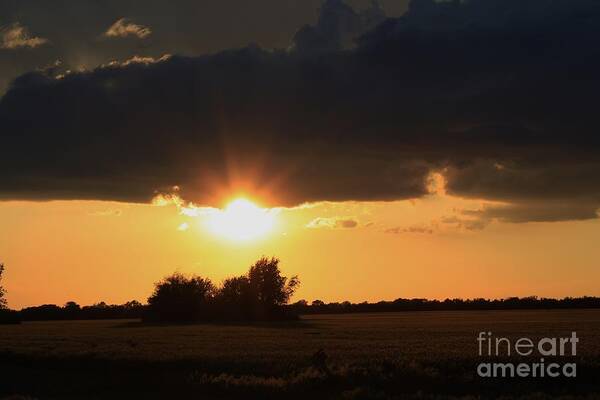 Sun Poster featuring the photograph Wheatfield Sunset with cloud's and tree's by Robert D Brozek