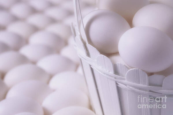 Carry Poster featuring the photograph White eggs in white basket by Jim Corwin