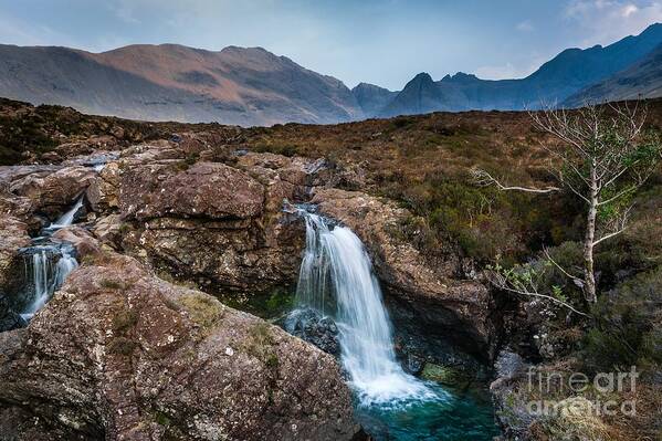 Afternoon Poster featuring the photograph Wild Spaces by Maciej Markiewicz