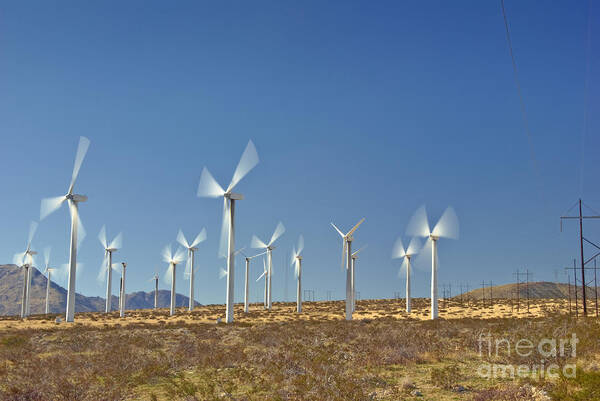 Palm Springs Poster featuring the photograph Wind Turbines Green Energy Field by David Zanzinger