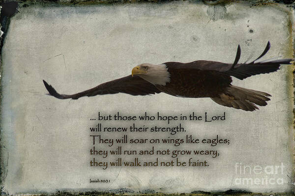 Bible Verse Poster featuring the photograph Wings Like Eagles by David Arment