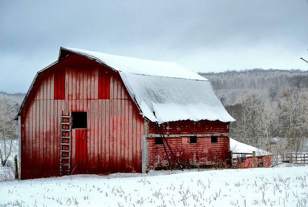 Barn Poster featuring the photograph Winter Barn by Deena Stoddard
