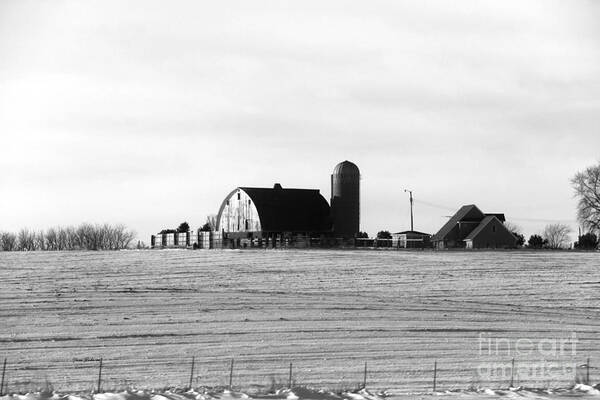 Barns Poster featuring the photograph Winter Barn in Black and White by Yumi Johnson