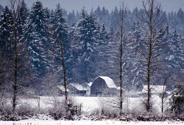 Landscapes Poster featuring the photograph Winter Blues by Claude Dalley