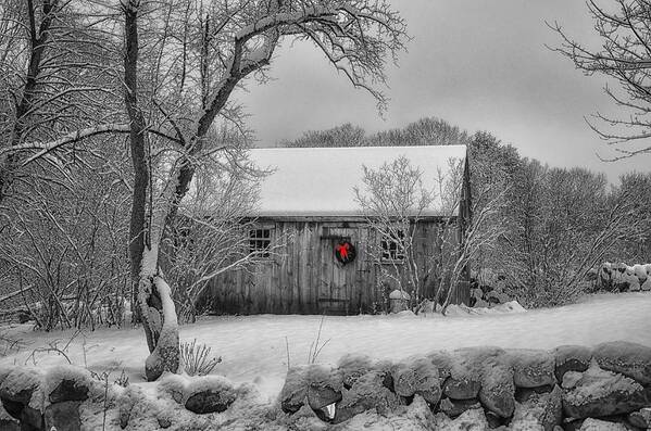 Nature Poster featuring the photograph Winter Cabin by Tricia Marchlik