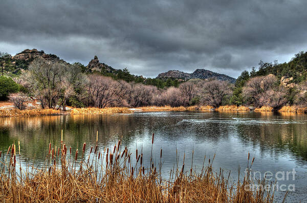 Diana Graves Photography Poster featuring the photograph Winter Cattails By The Lake by K D Graves