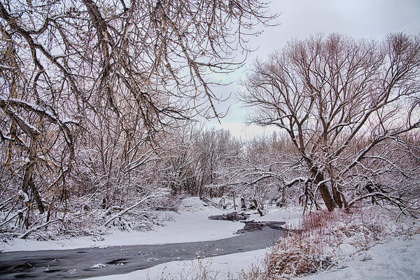 Winter Poster featuring the photograph Winter Creek by James BO Insogna
