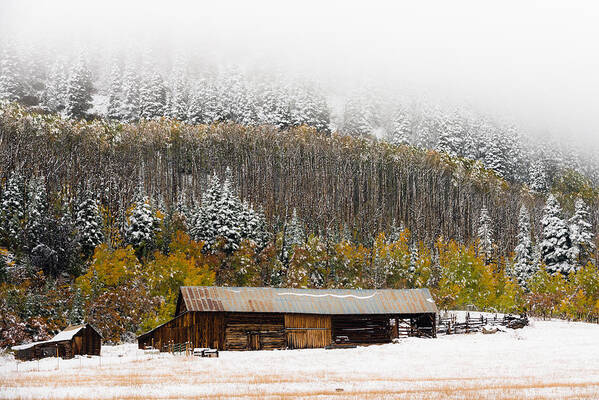 Montrose Colorado Poster featuring the photograph Winter Farm by Chuck Jason