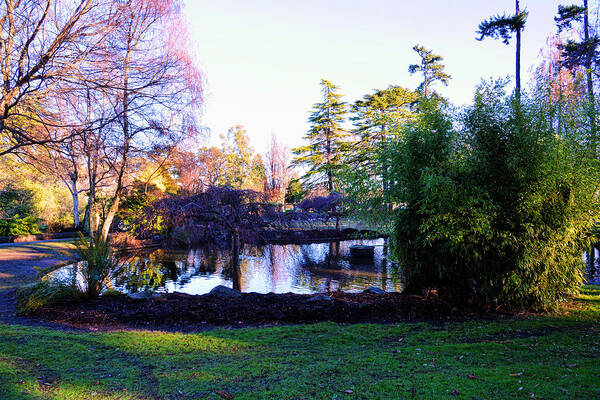 Victoria Poster featuring the photograph Winter in Beacon Hill Park Victoria BC by Lawrence Christopher