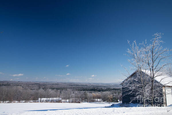 Maine Winter Scenes Poster featuring the photograph Winter Landscape After the Ice Storm by Alana Ranney