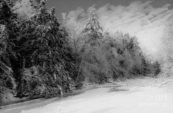 Maine Poster featuring the photograph Winter Living in Maine by Brenda Giasson