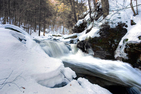 Waterfall Poster featuring the photograph Winter Meltdown Rushing Over Conestoga Falls by Gene Walls