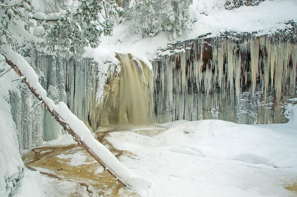 Winter Poster featuring the photograph Winter on Carpenter Creek by Gary McCormick