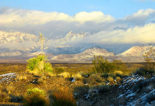 The Winter Sun Sets In Front Of The Organ Mountains-desert Peaks National Monument Poster featuring the photograph Winter in the Organ Mountains by Jack Pumphrey