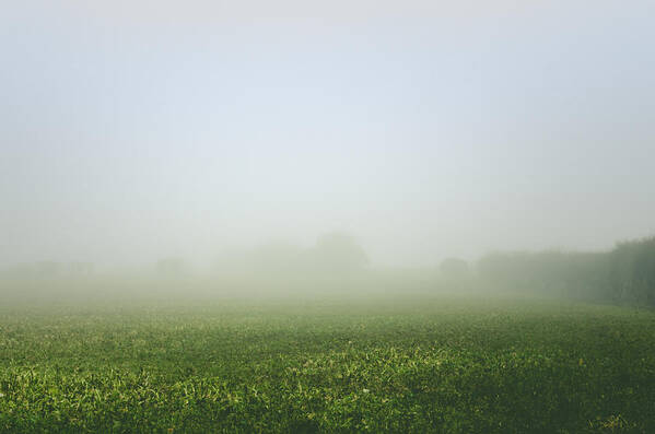Winter Poster featuring the photograph Winters Foggy Morning across the Farmers Field by Spikey Mouse Photography