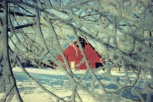 Barn Poster featuring the photograph Our Frosty Barn by Julie Hamilton