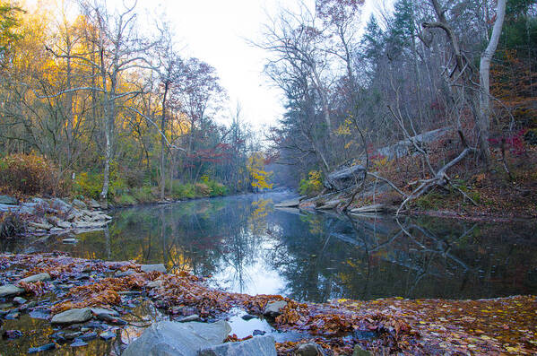 Wissahickon Poster featuring the photograph Wissahickon Creek - Fall in Philadelphia by Bill Cannon