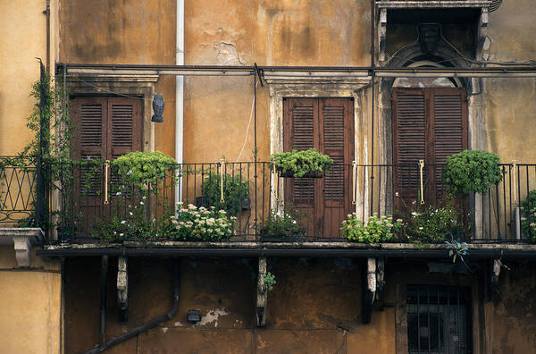 Italy Poster featuring the photograph Woke up on the right side of the bed.. by A Rey