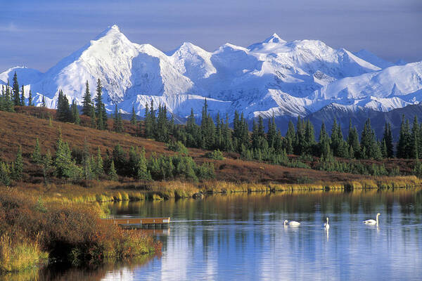 Alaska Range Poster featuring the photograph Wonder Lake in the Fall by Arterra Picture Library