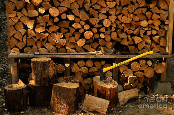 Wood Poster featuring the photograph Wood Pile by Ron Sanford