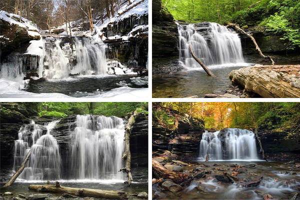 Autumn Poster featuring the photograph Wyandot Falls In Every Season by Gene Walls