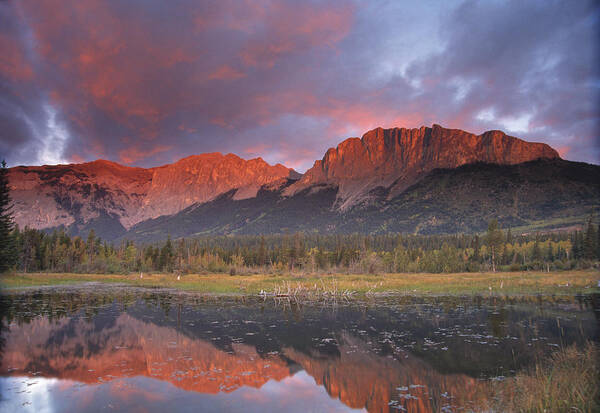 Reflection Poster featuring the photograph Yamnuska and reflection by Richard Berry