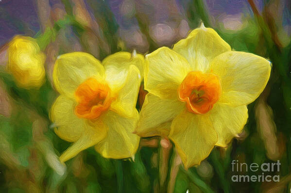 Andee Design Daffodil Poster featuring the photograph Yellow Daffodil Painting by Andee Design