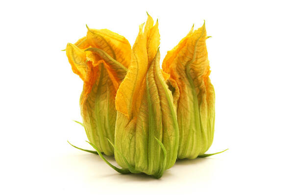 Yellow Poster featuring the photograph Yellow zucchini flower by Fabrizio Troiani