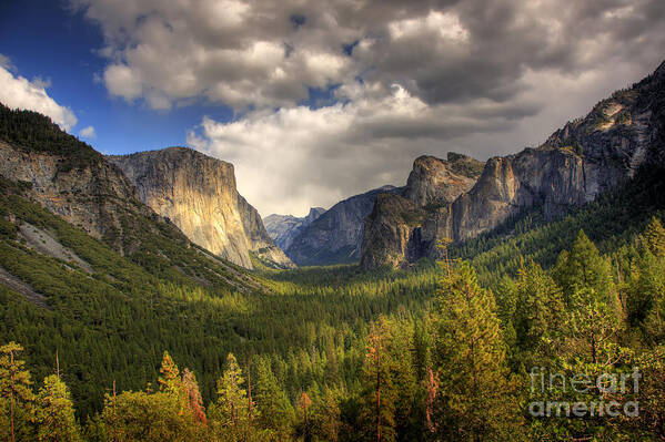 Landscape Poster featuring the photograph Yosemite Valley by Mimi Ditchie