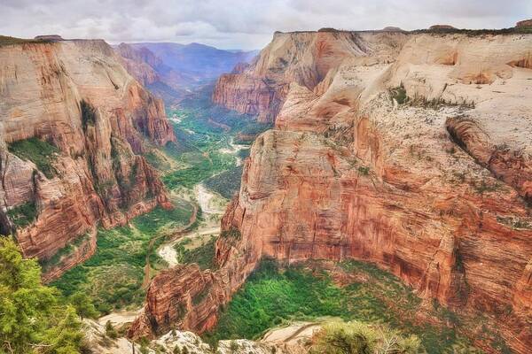 Zion National Park Poster featuring the photograph Zion National Park by Lori Deiter