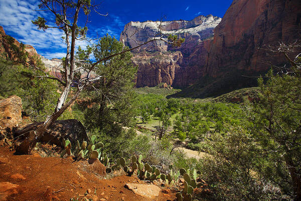 Landscape Poster featuring the photograph Zion National Park River Walk by Richard Wiggins