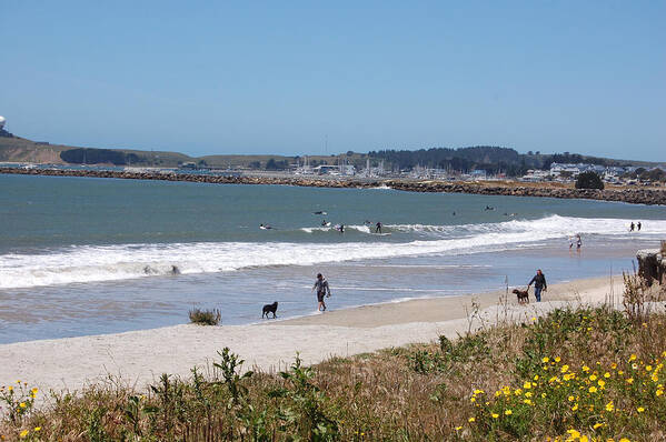 California Poster featuring the photograph California Beach by Carolyn Donnell