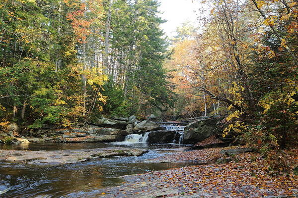 Autumn Poster featuring the photograph Ham Branch Waterfall by Duane Cross