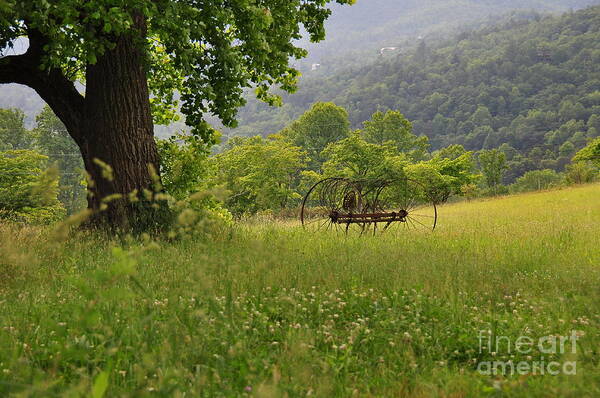 Hay Poster featuring the photograph Hay Rake Rests in Mountain Meadow by Wayne Nielsen