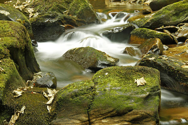 Torc Flow Poster featuring the photograph Water flow at Torc by Martina Fagan