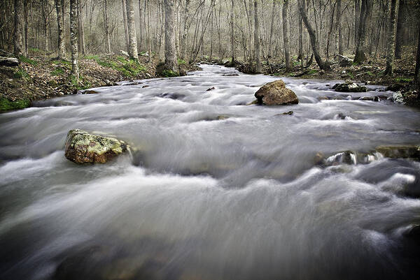Arkansas Poster featuring the photograph 0804-0122 Rolling Creek of the Ozark Mountains by Randy Forrester