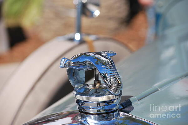 1930 Poster featuring the photograph 1930 Ford Coupe Hood Ornament by Heather Kirk