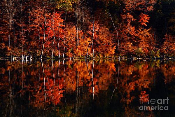 Chester Woods Poster featuring the photograph Autumn Reflections #1 by Larry Ricker