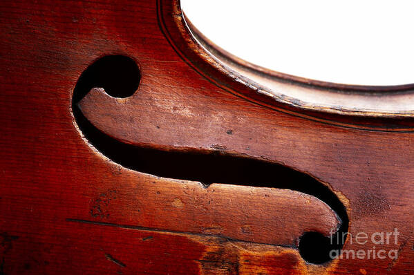 Fiddle Poster featuring the photograph G clef #1 by Michal Boubin