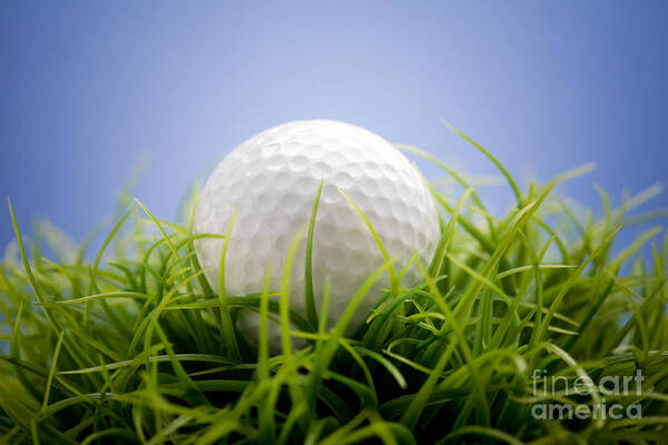 Activity Poster featuring the photograph Golfball #1 by Kati Finell