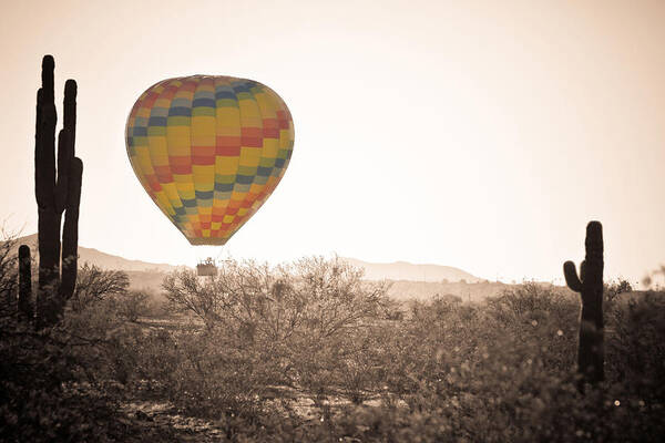 Arizona Poster featuring the photograph Hot Air Balloon On the Arizona Sonoran Desert In BW #1 by James BO Insogna