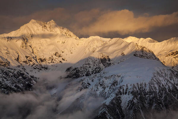 00498864 Poster featuring the photograph Mount Rolleston At Dawn Arthurs Pass Np #1 by Colin Monteath