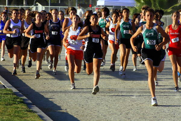 Cal Poster featuring the photograph Running 2 #1 by Randy Wehner