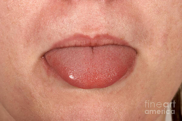Face Poster featuring the photograph Tongue #1 by Ted Kinsman