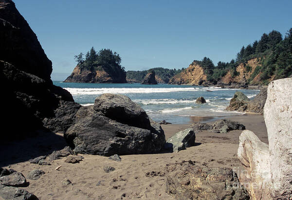 Trinidad California Poster featuring the photograph Trinidad Beach #1 by Sharon Elliott