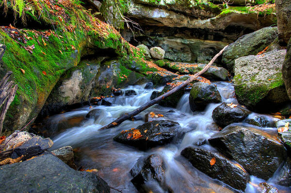 White Water Poster featuring the photograph White Water #1 by Prince Andre Faubert